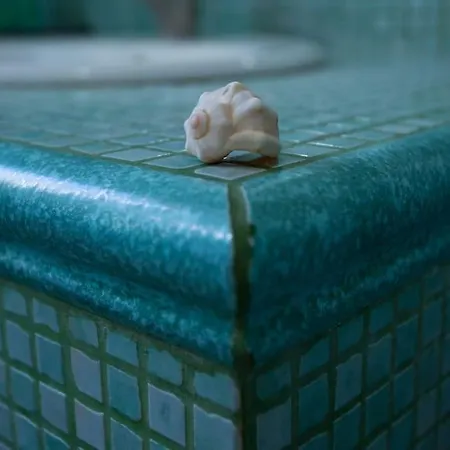 Vatican Fabio Massimo - Experience